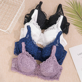 New arrival Of Extra soft padded wire Bra